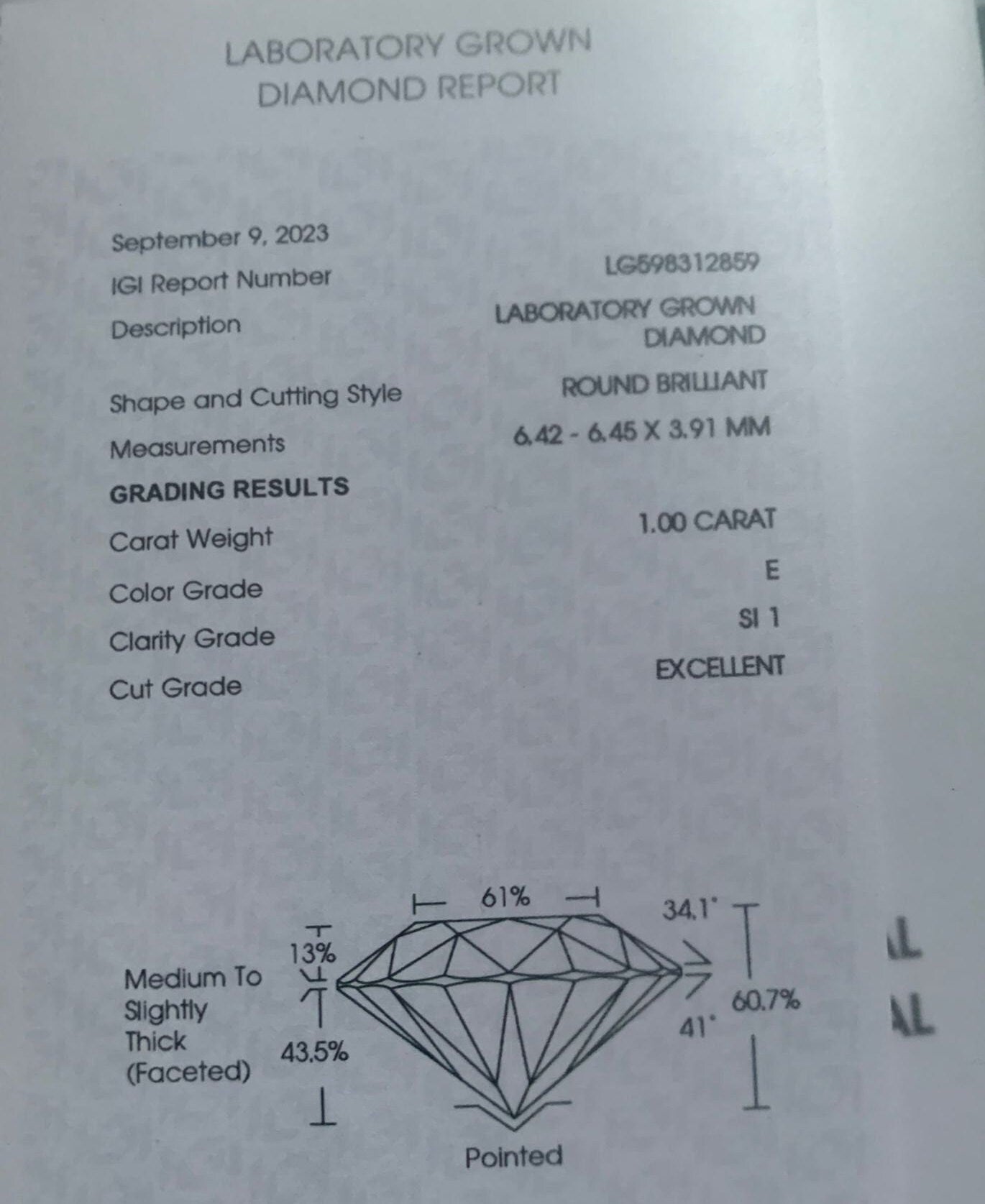 White Gold Round Brilliant Cut Lab Grown Diamond 1.00ct E/SI1 XXX